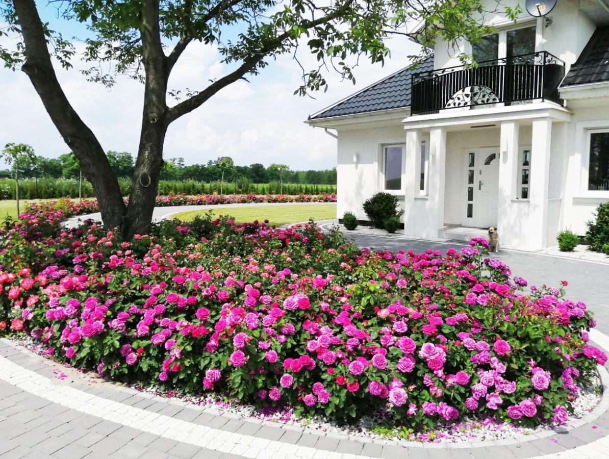Villa Pod Orzechem