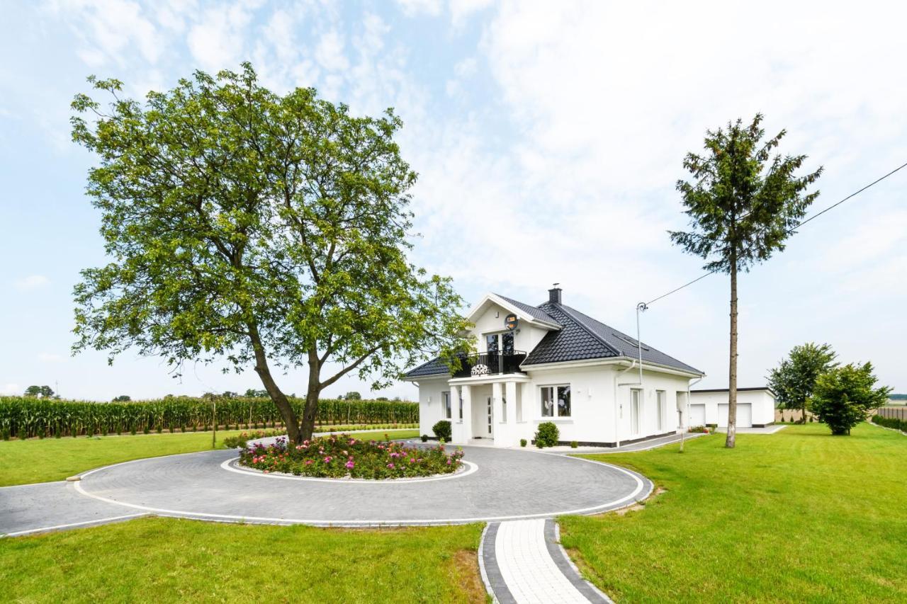 Pod Orzechem Villa
